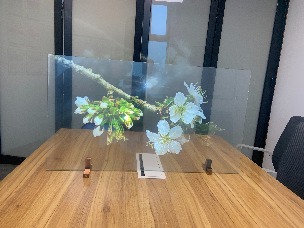 投影效果展示